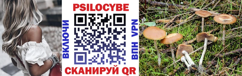 сколько стоит  Вышний Волочёк  Псилоцибиновые грибы прущие грибы 